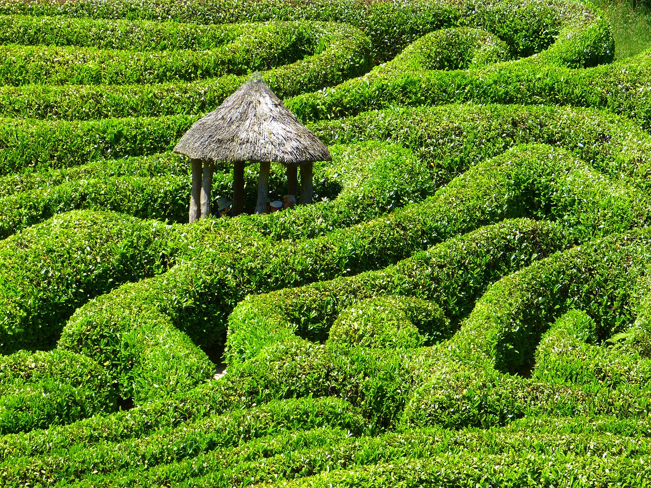 maze labyrinth glendurgan free photo