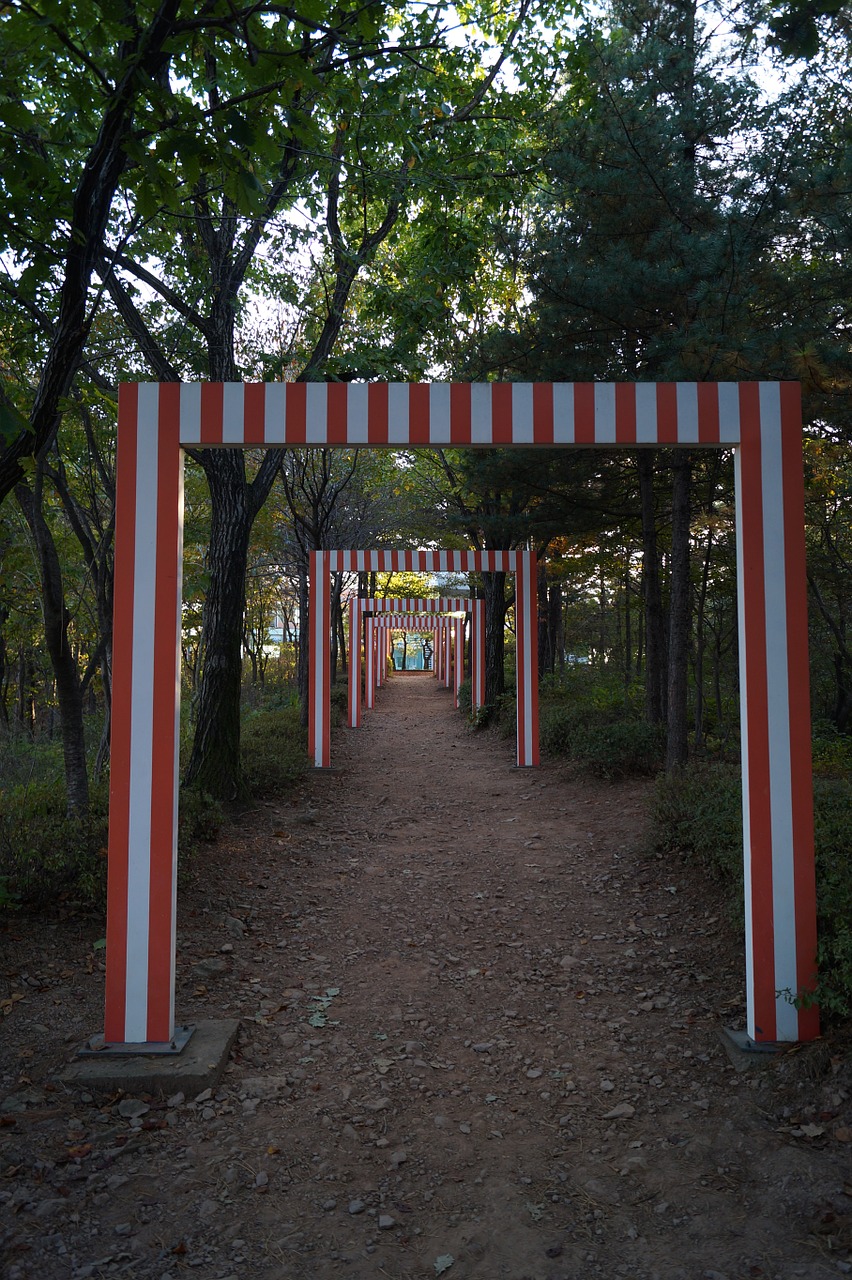 maze in the forest gimpo sculpture park free photo