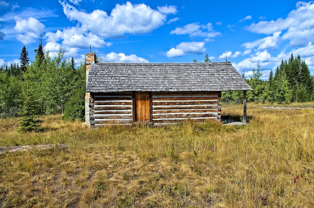 mccarthy homestead cabin  log  cabin free photo