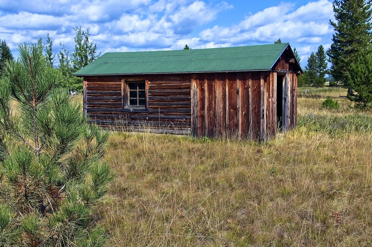 mccarthy homestead structure  log  cabin free photo