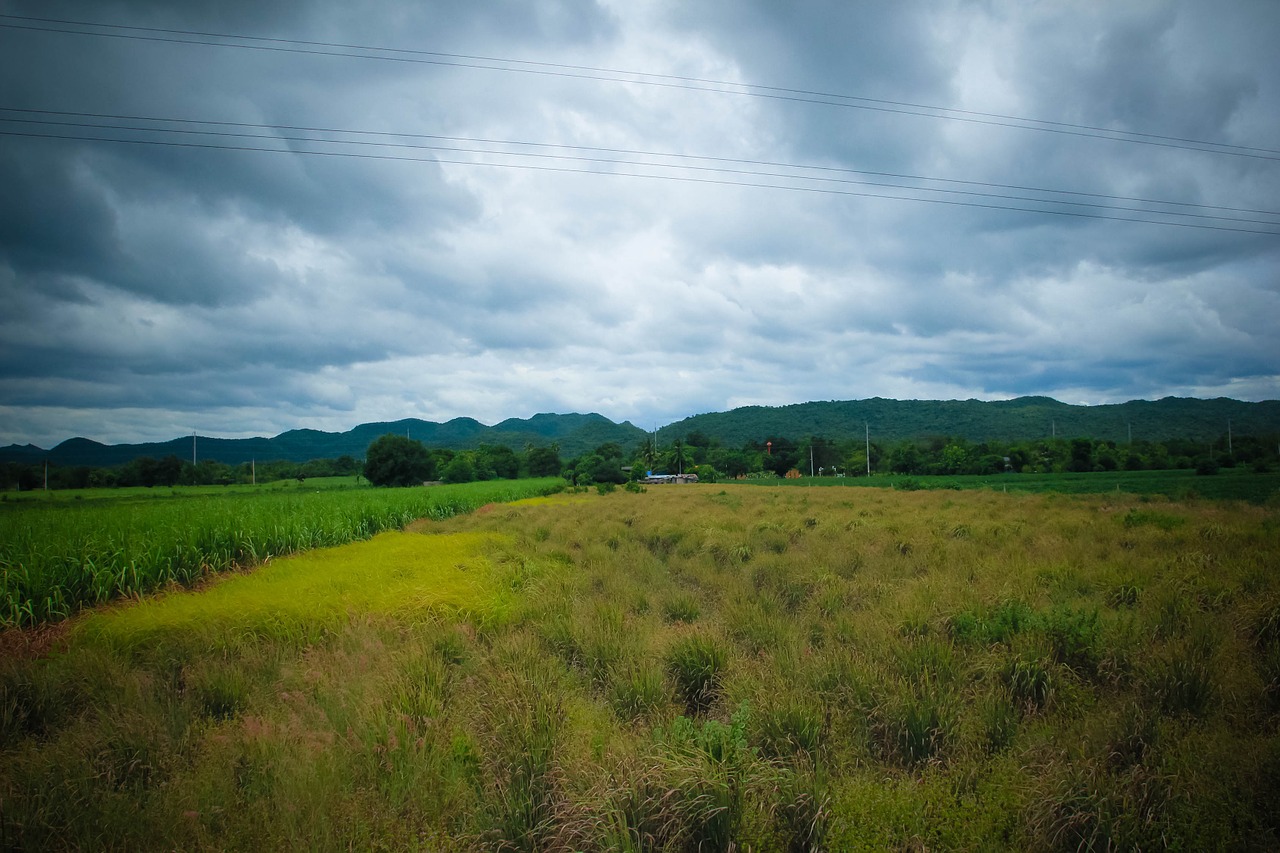 train kanchanaburi mead free photo