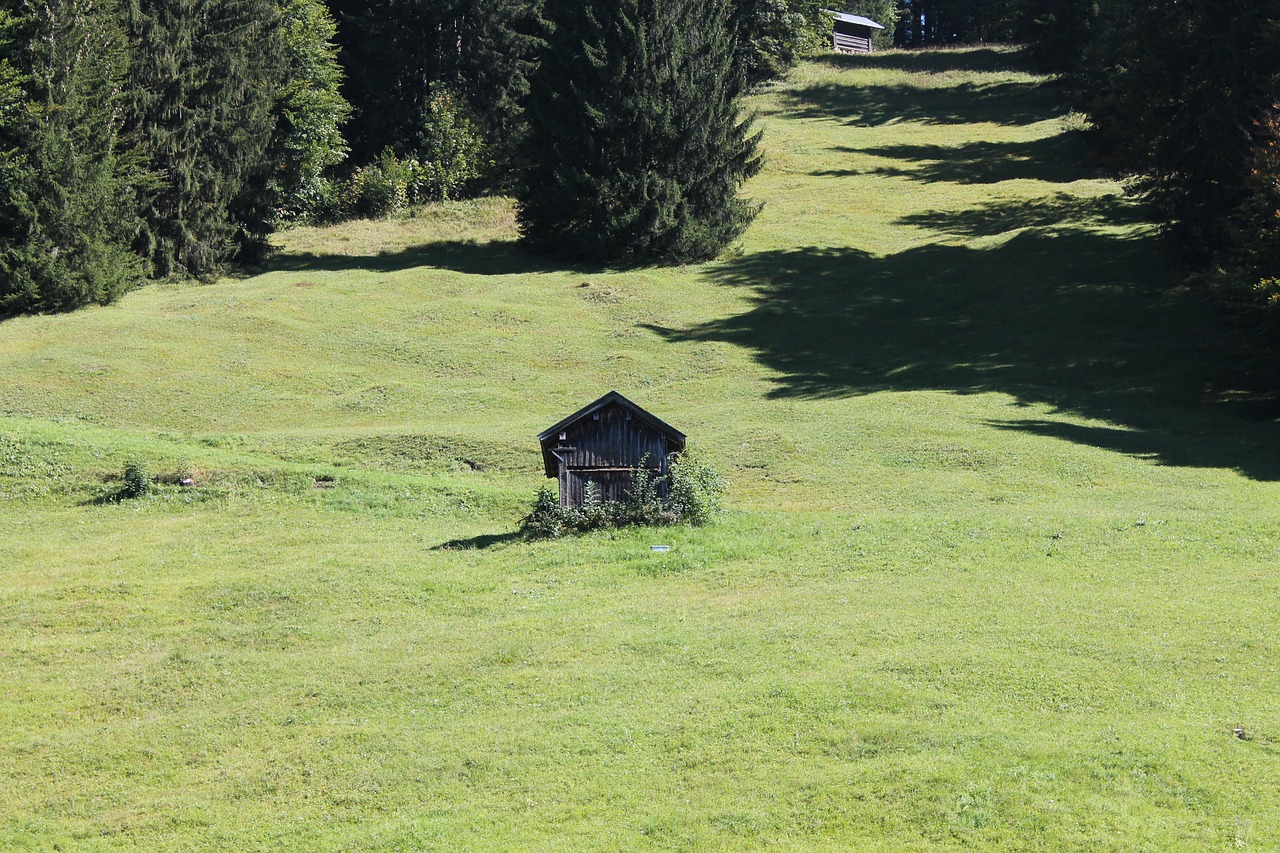 meadow mountains landscape free photo