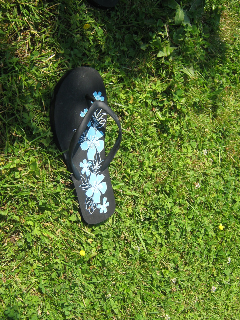 meadow flip flops shoe free photo
