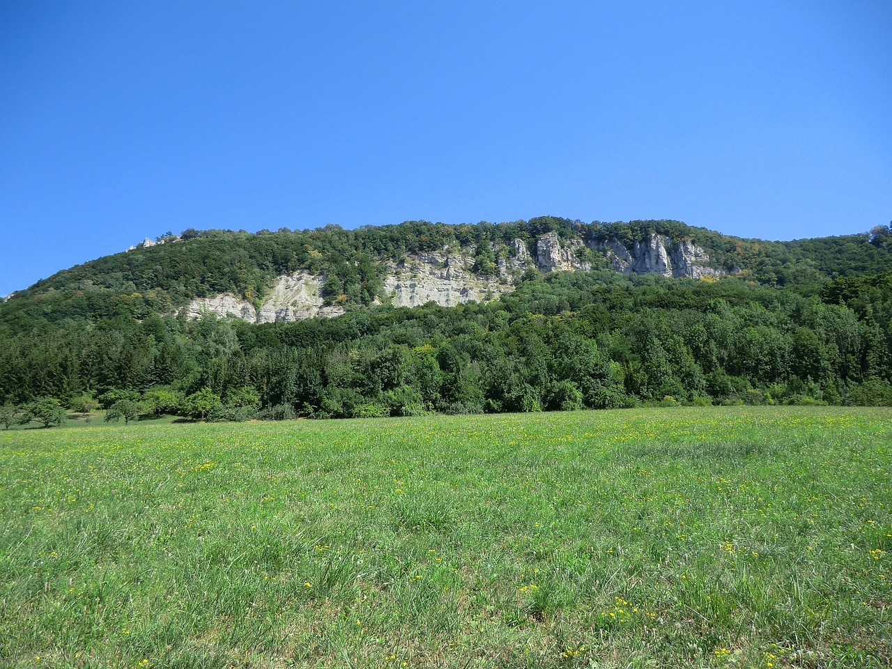 meadow summer rock free photo