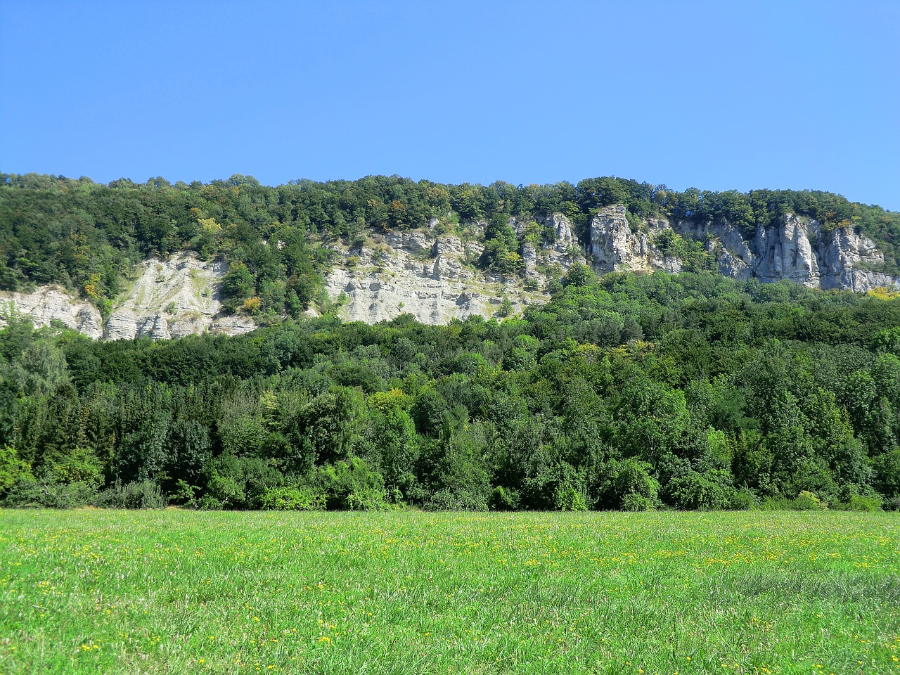 meadow summer rock wall free photo