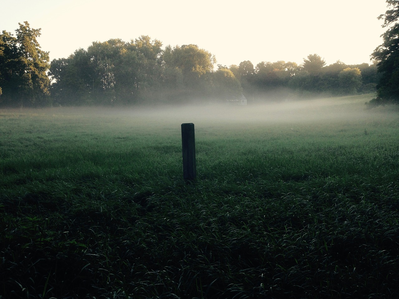 meadow field mist free photo