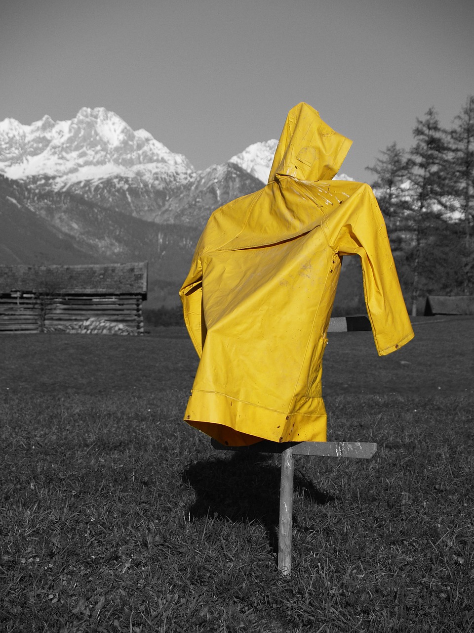 meadow yellow rain coat free photo