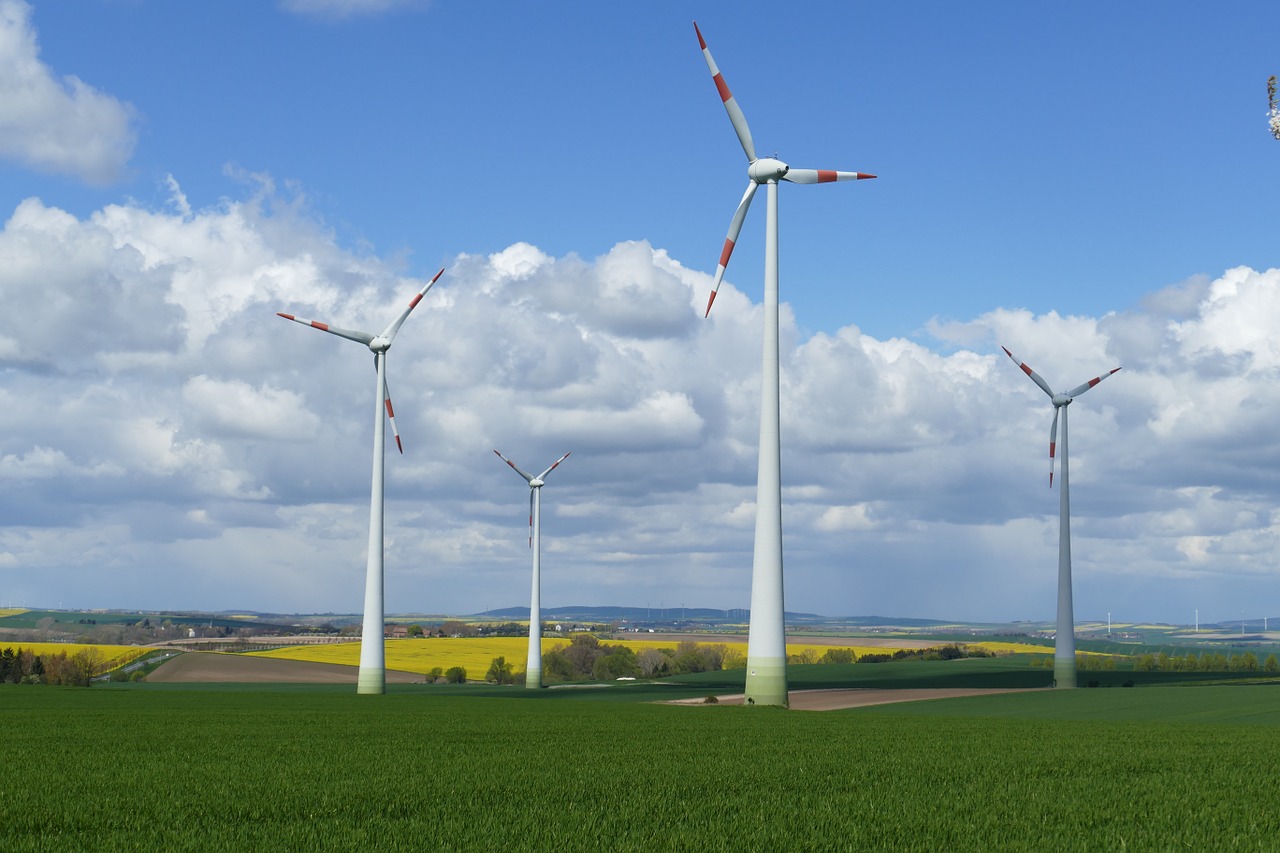 meadow oilseed rape wind turbine free photo