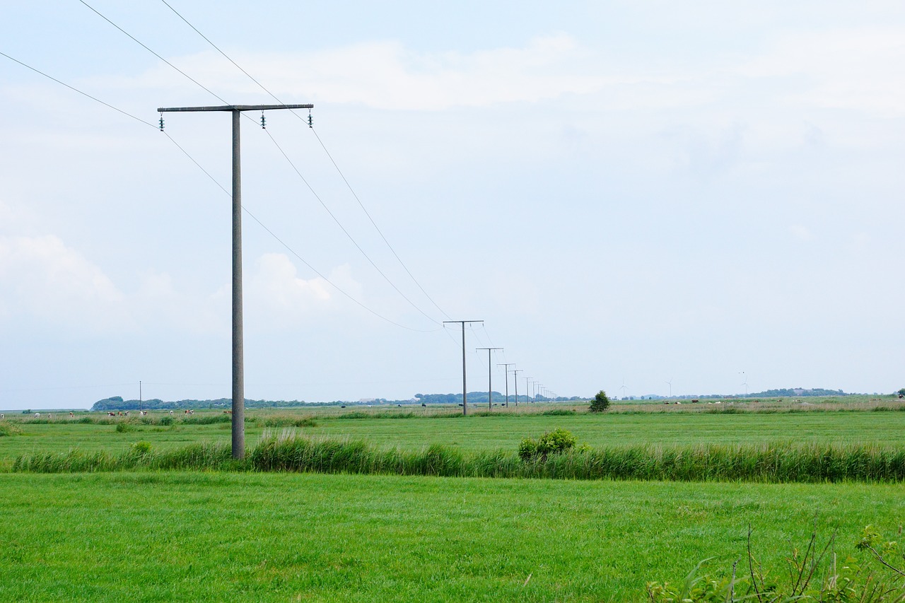 meadow green horizon free photo