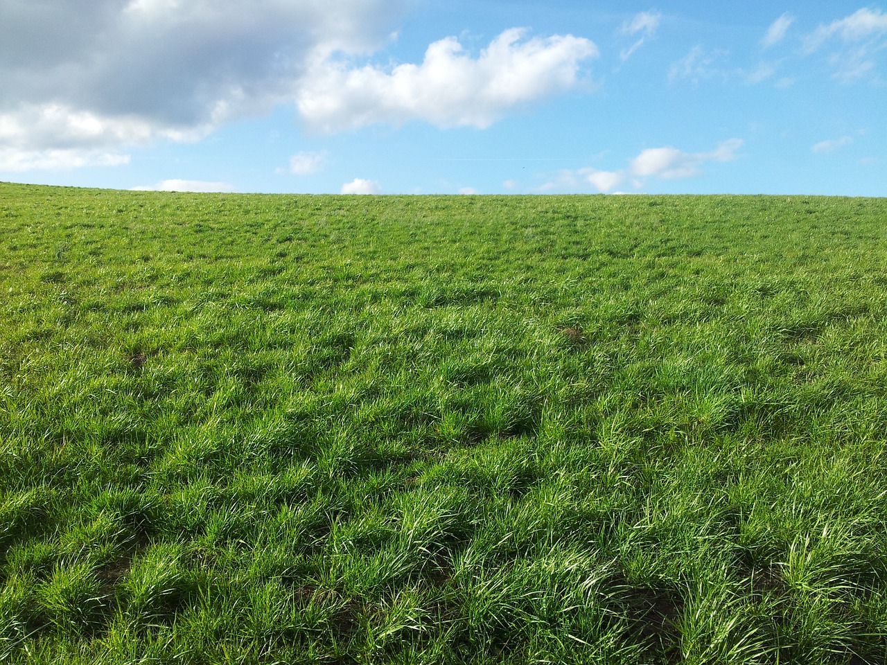 meadow clouds landscape free photo