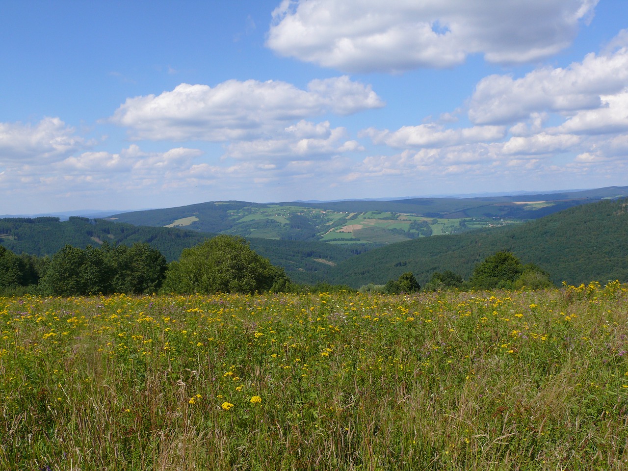 meadow nature czech free photo