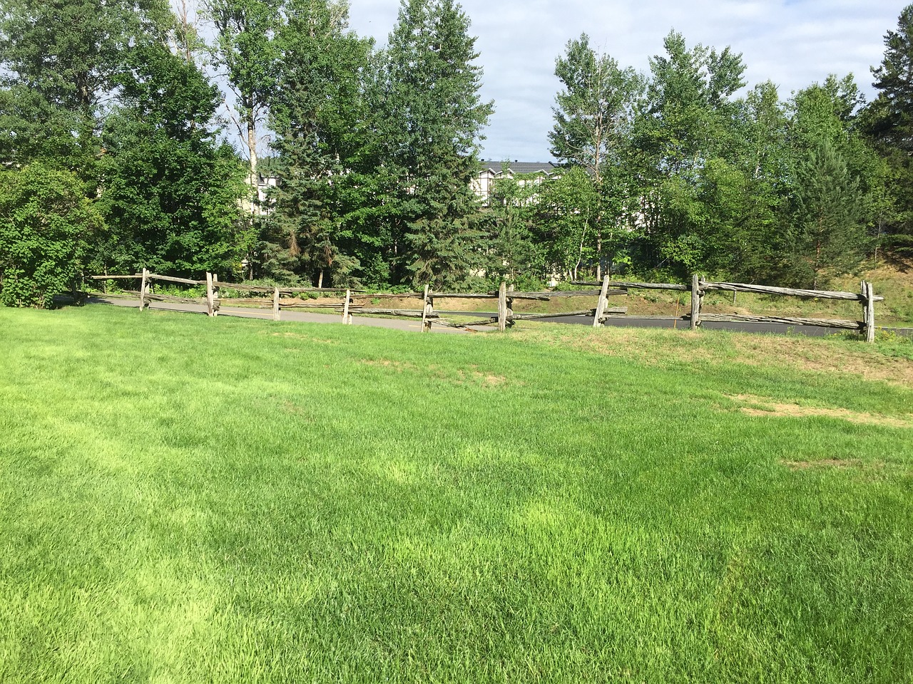 countryside meadow summer free photo