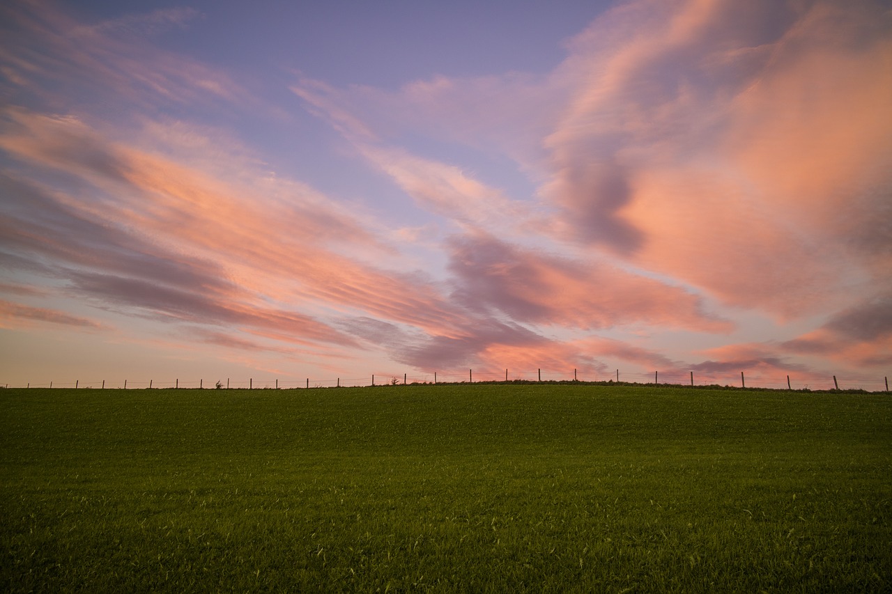 meadow sky evening sky free photo