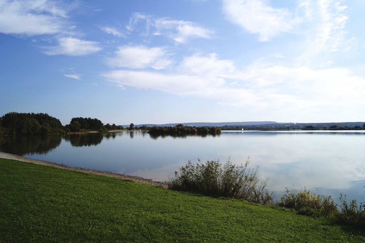 meadow lake nature free photo