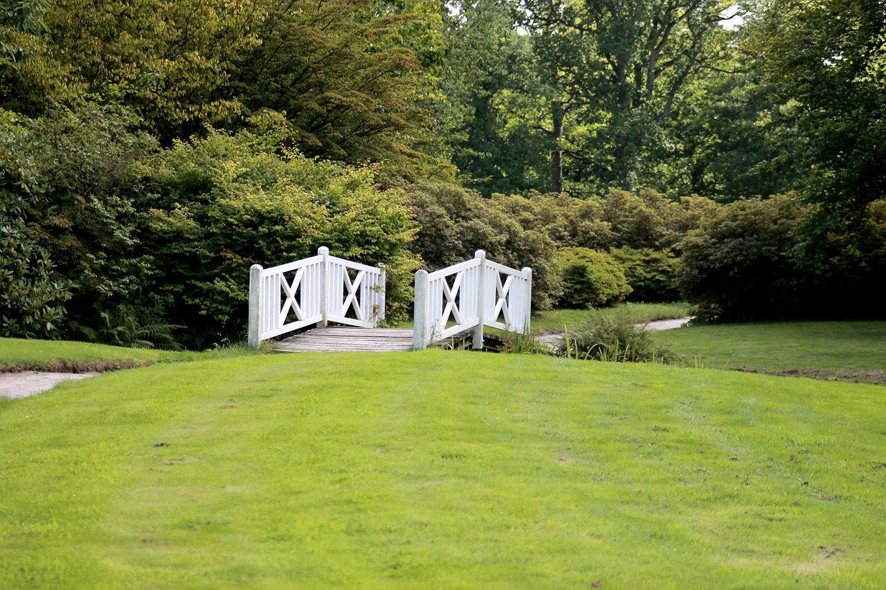 meadow bridge nature free photo