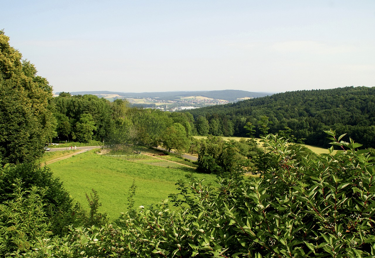 meadow forest hiking free photo