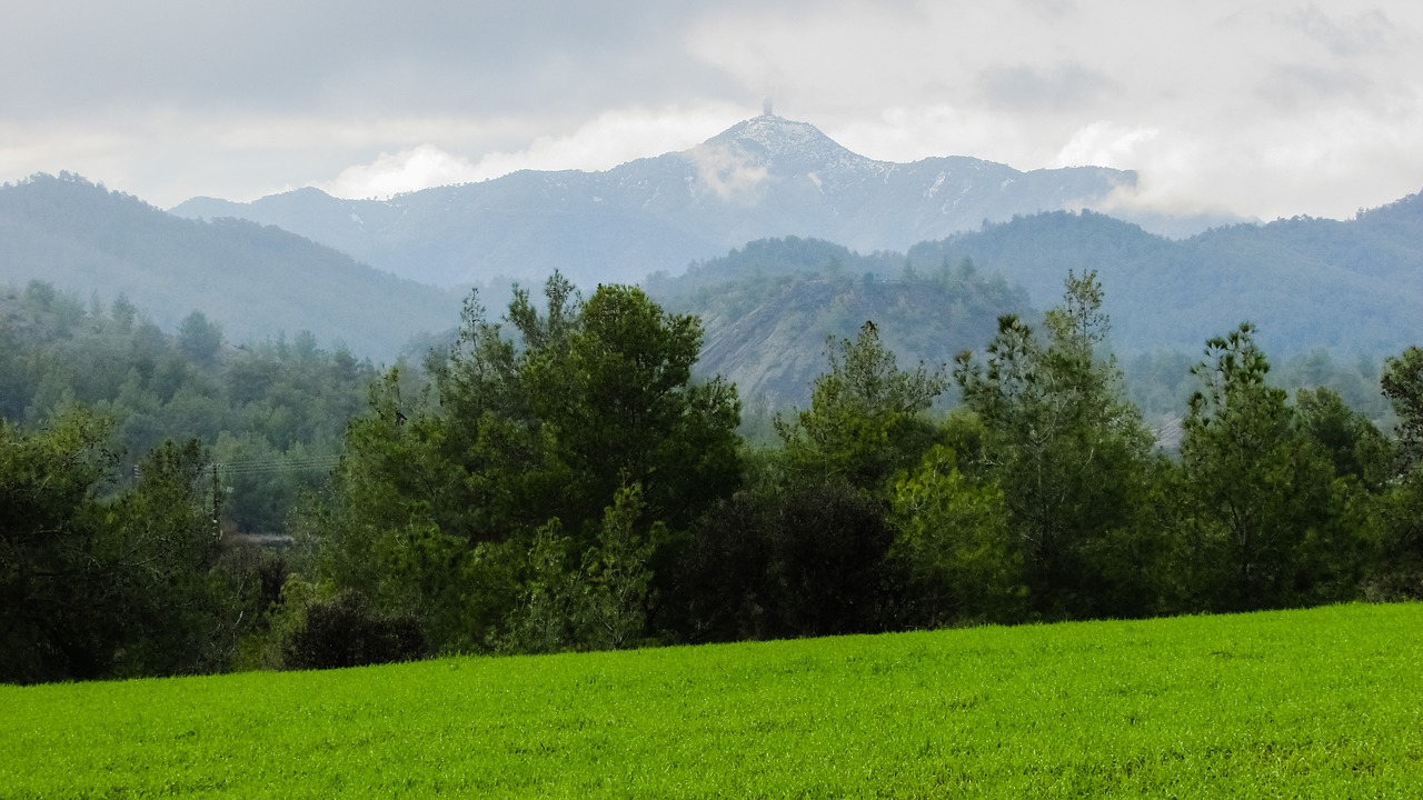 meadow trees landscape free photo