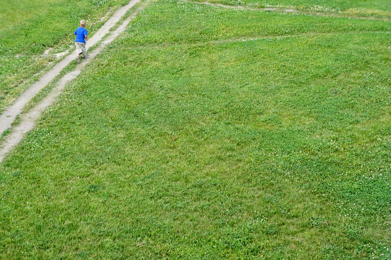 meadow green child free photo