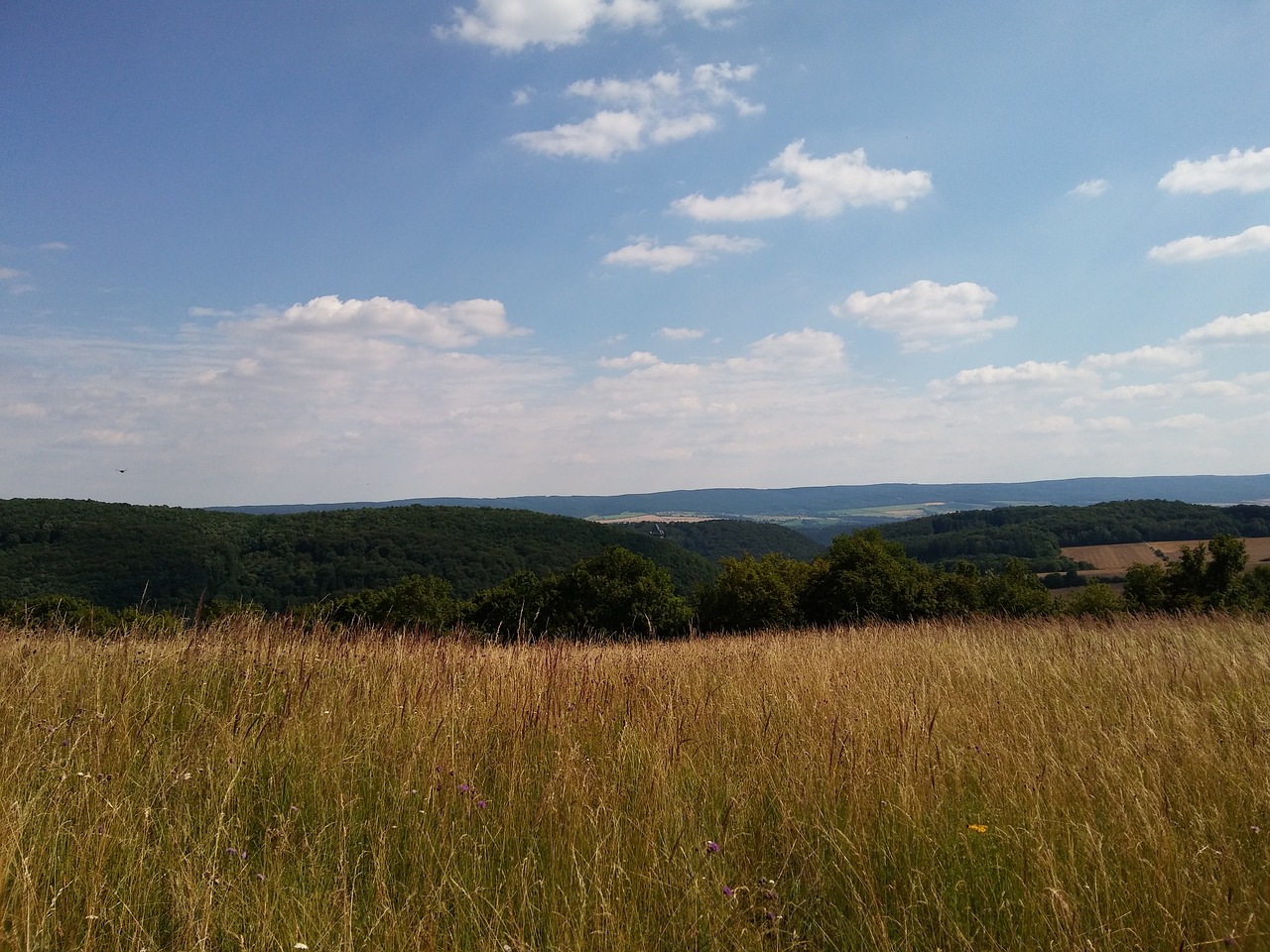 meadow landscape nature free photo