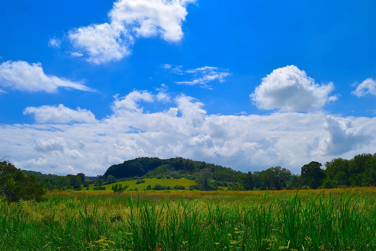 meadow landscape nature free photo