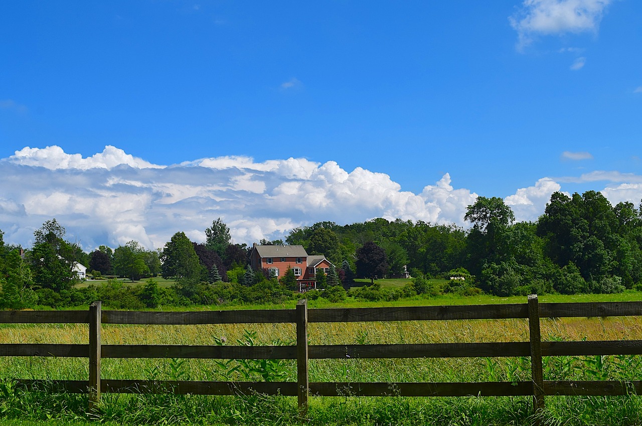 meadow fence nature free photo