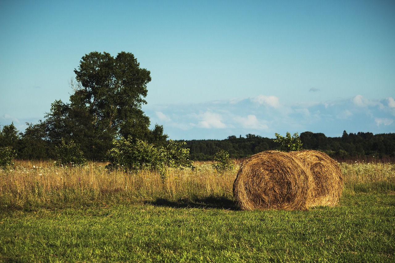 meadow haymaking collections free photo