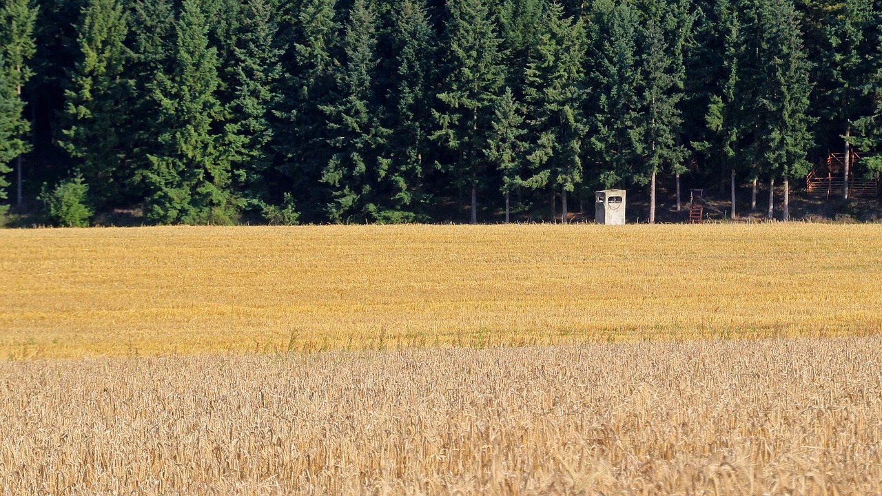 meadow perch landscape free photo