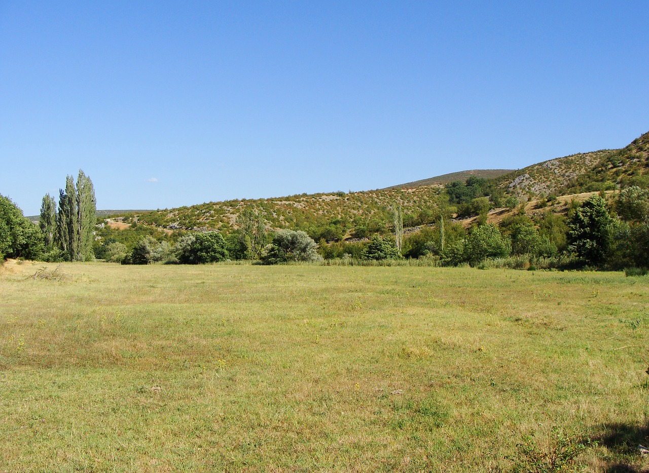 meadow nature valley free photo