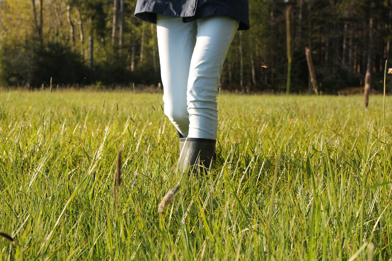 meadow spring rubber boots free photo