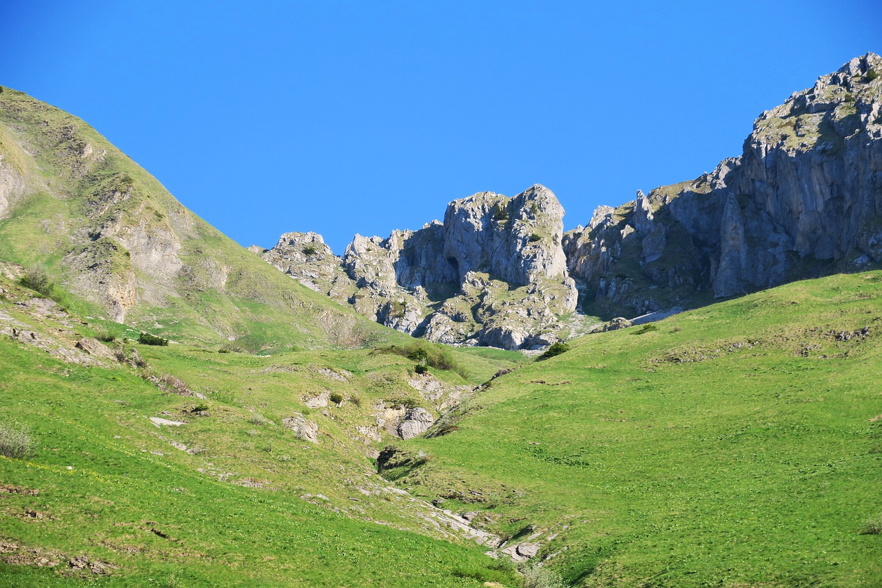 meadow mountain rocks free photo