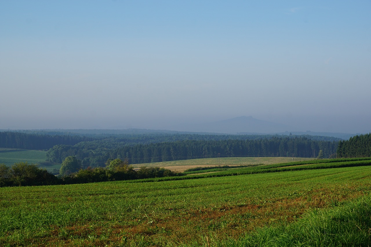 meadow field emmingen free photo