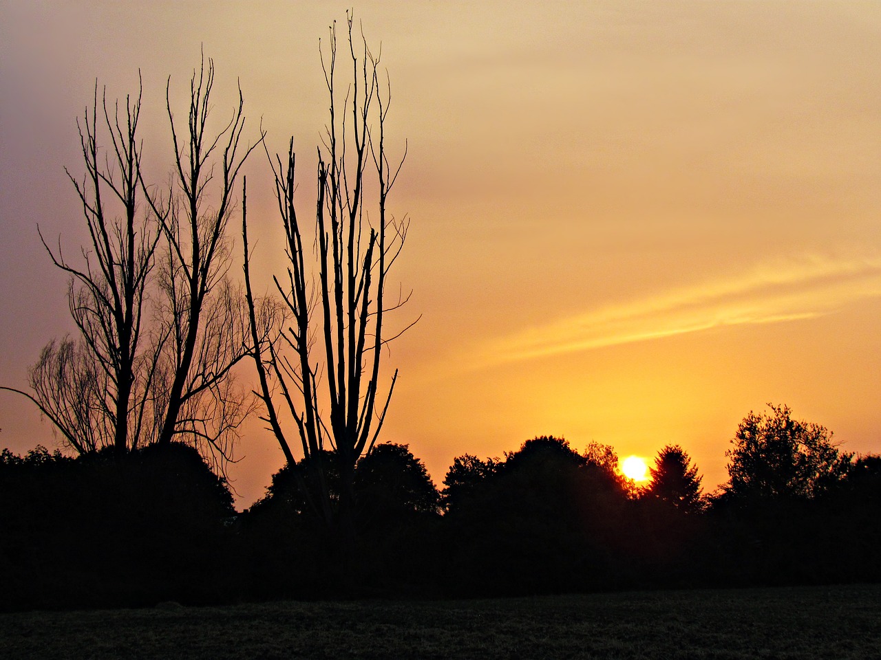 meadow west nature free photo