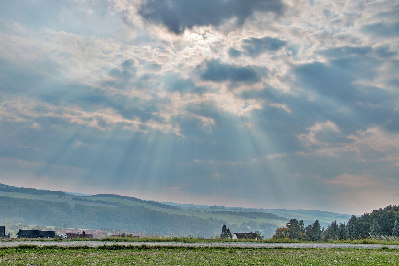 meadow field bauer free photo