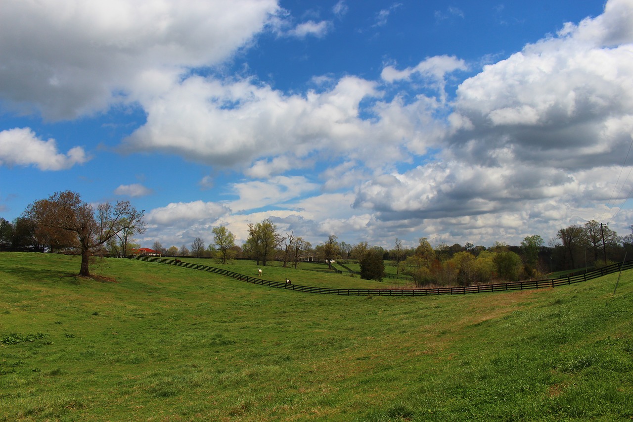 meadow sky clouds free photo