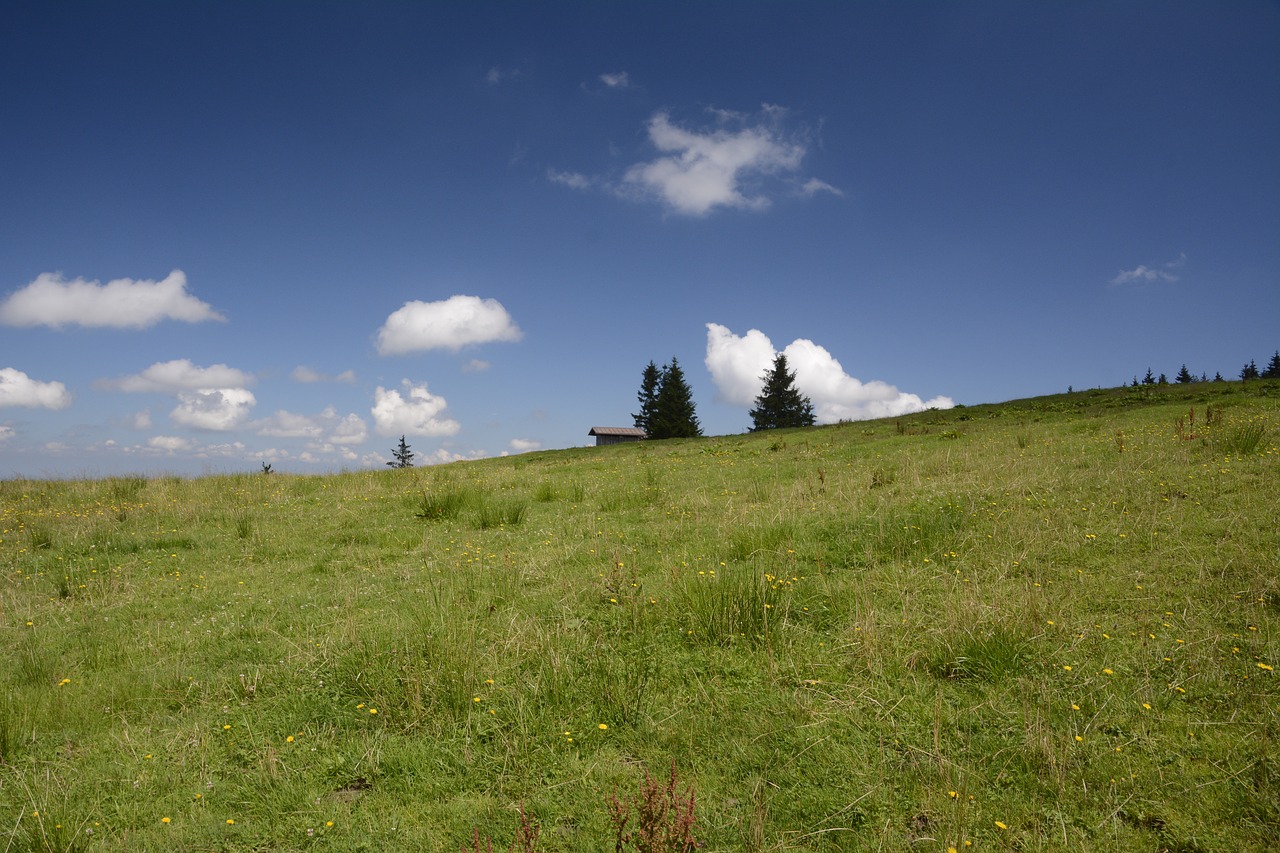 meadow landscape nature free photo