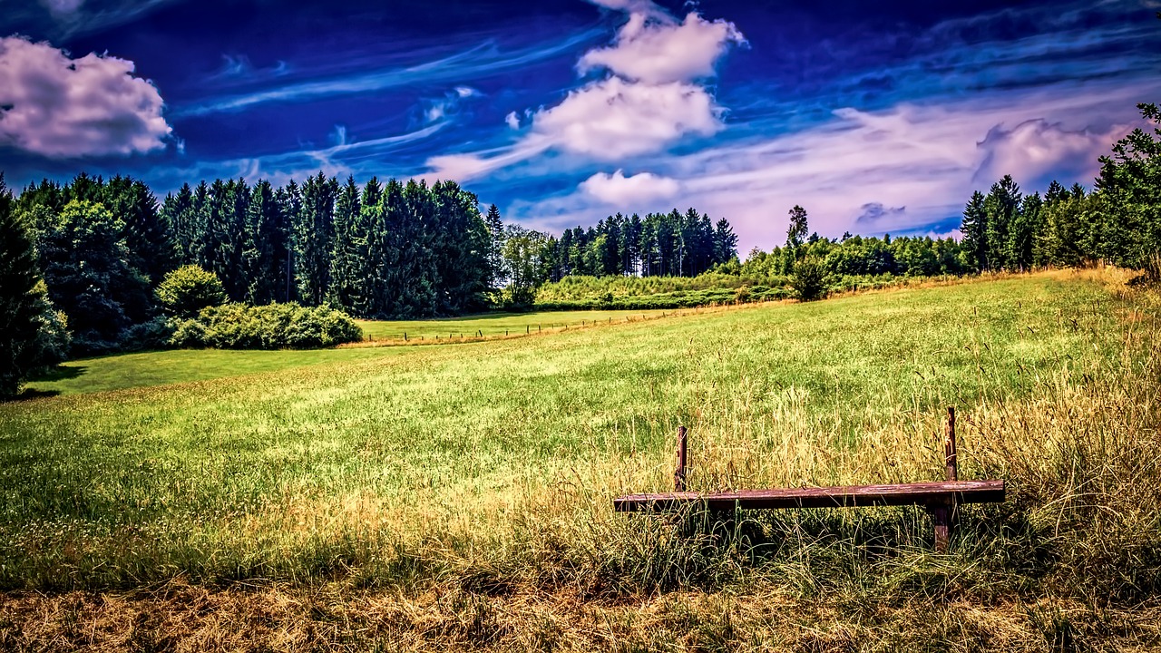 meadow landscape summer free photo