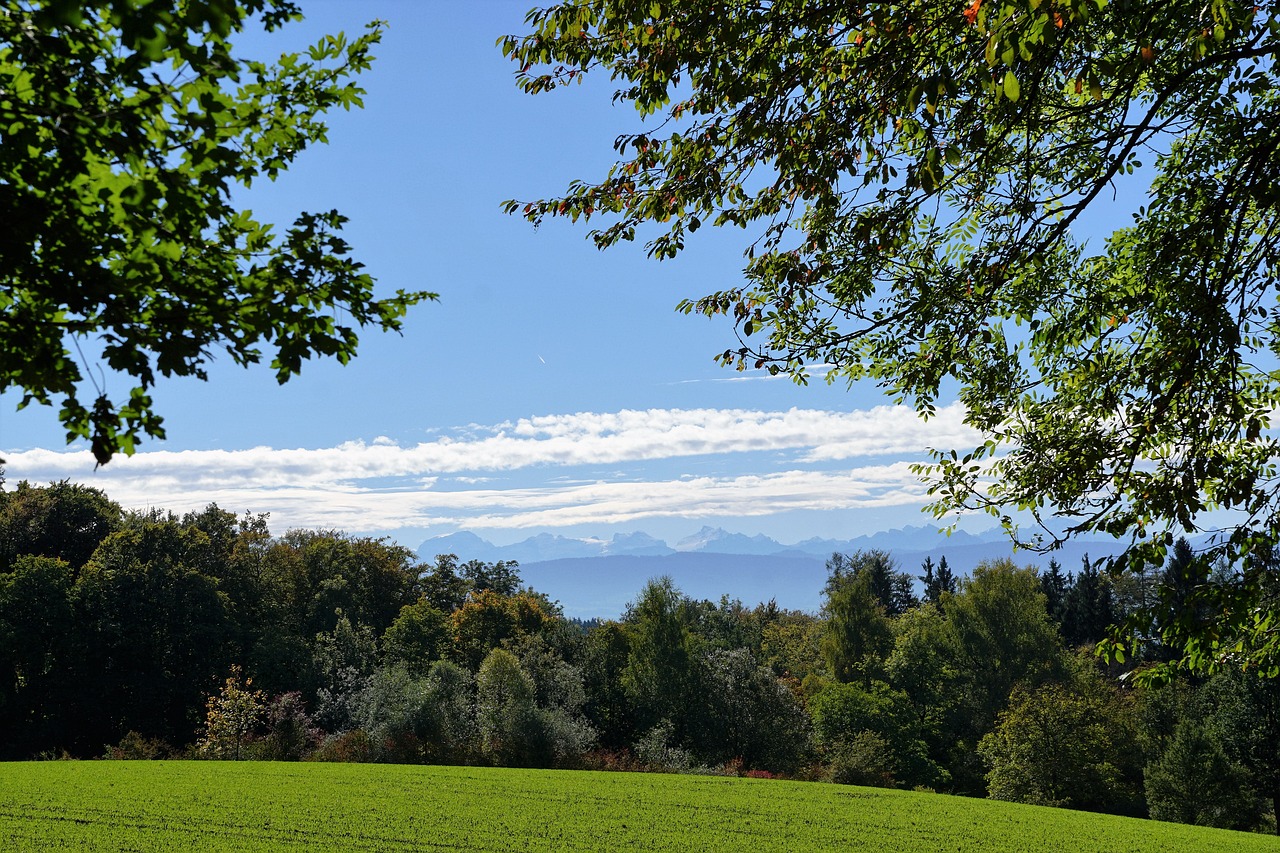 meadow zollikon zurich free photo