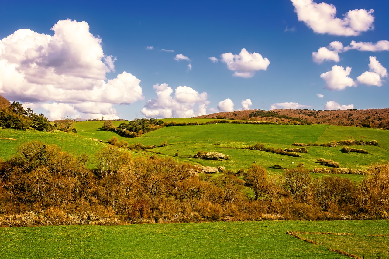 meadow  hill  landscape free photo