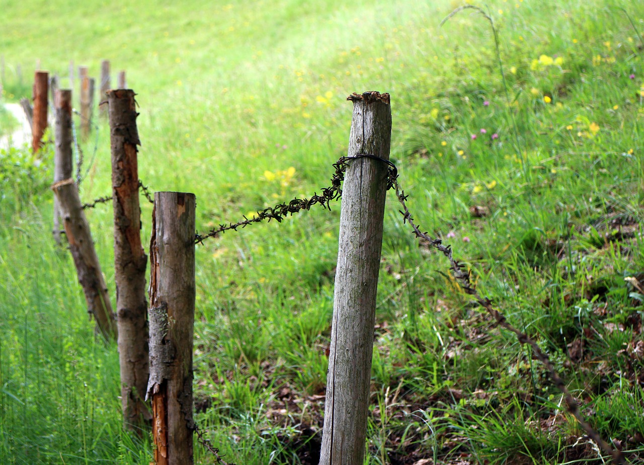 meadow pasture fence free photo