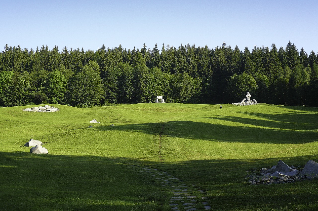 meadow  green  grass free photo