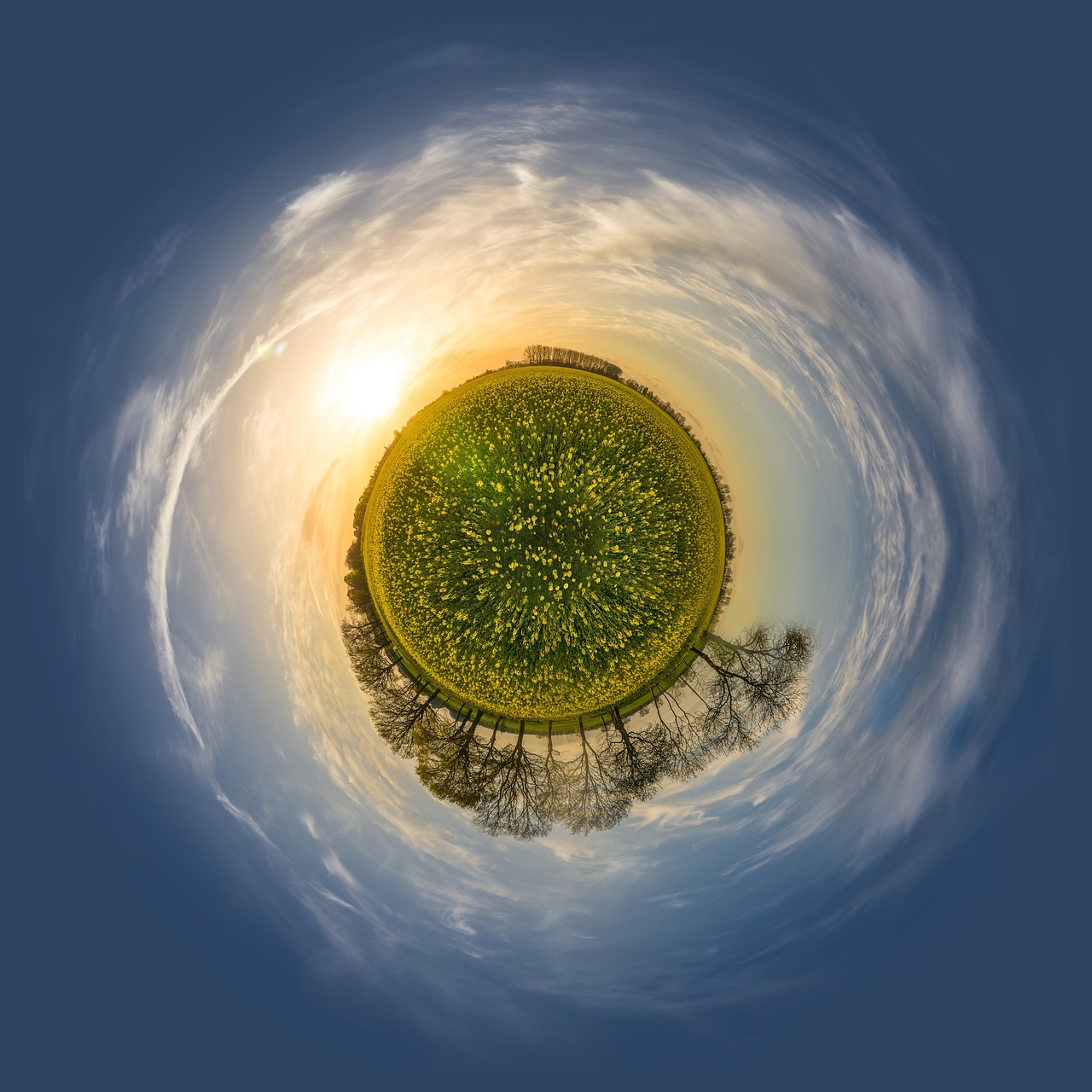 meadow  planet  mini free photo