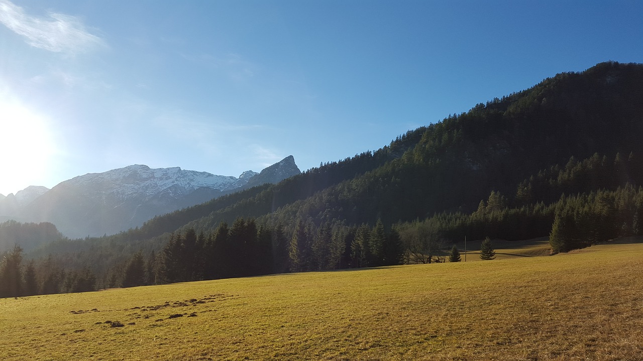 meadow  alps  nature free photo