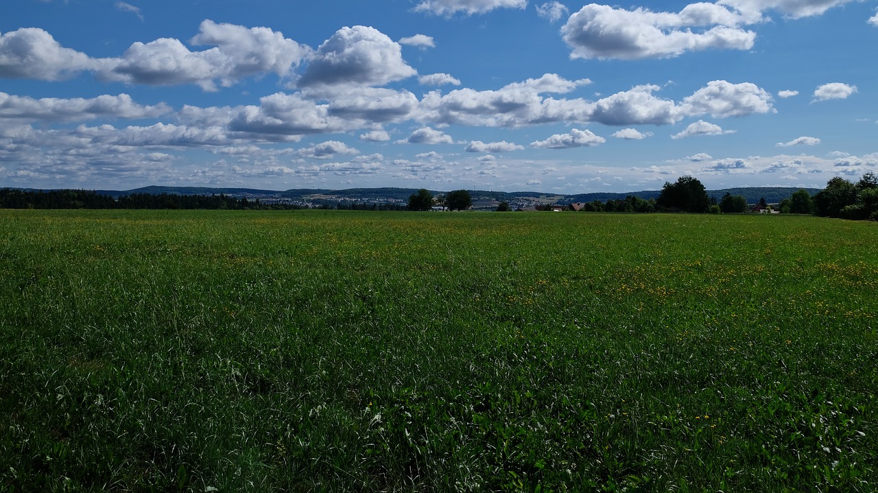 meadow  clouds  landscape free photo