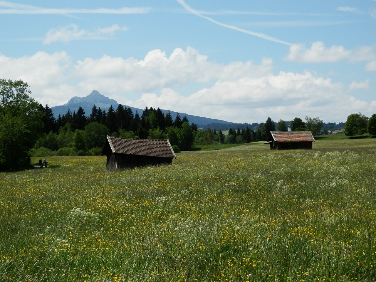 meadow allgäu greened free photo