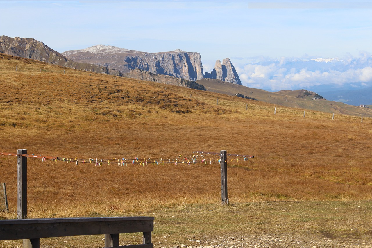 meadow mountains view free photo