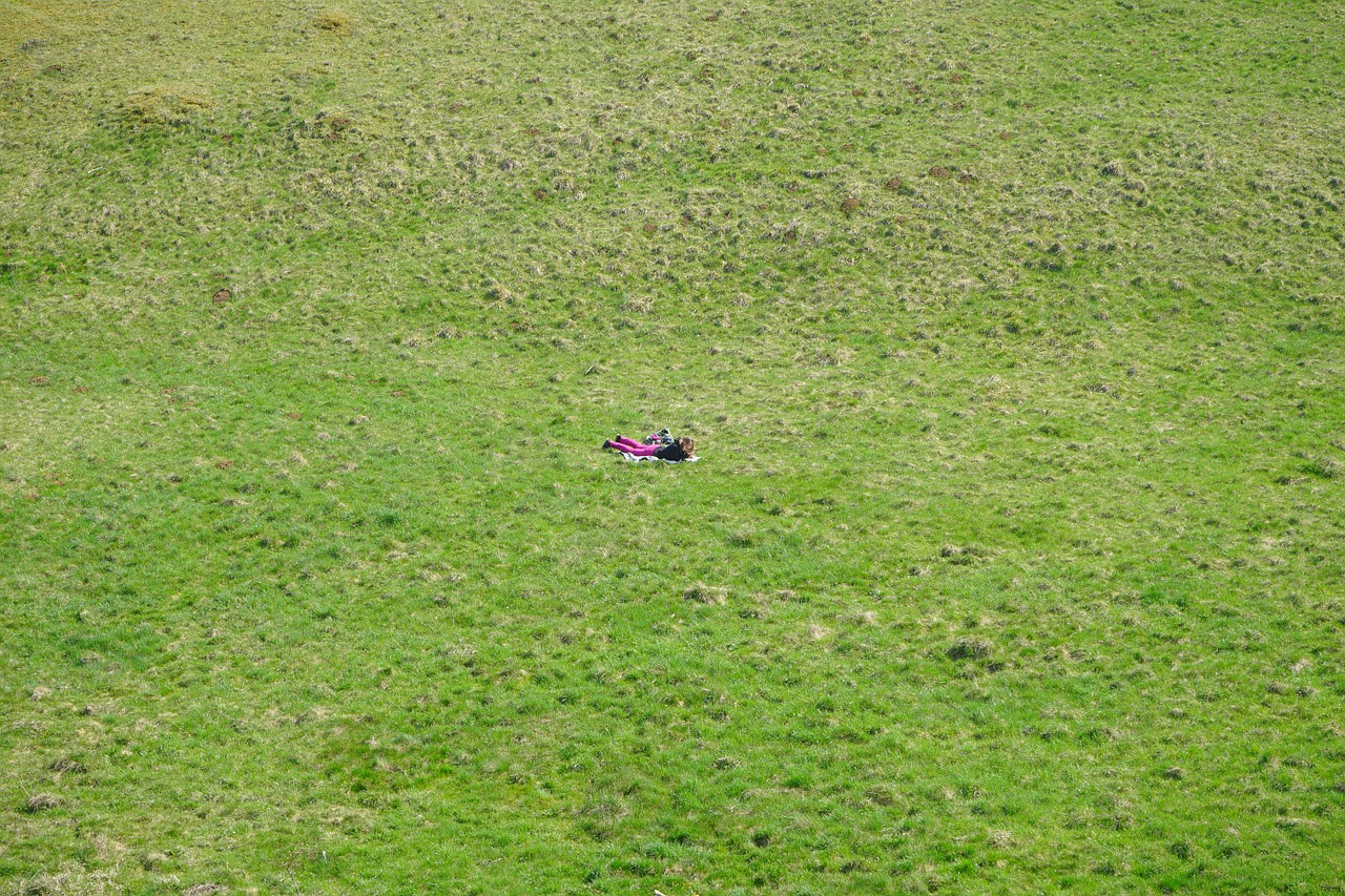 meadow grass human free photo