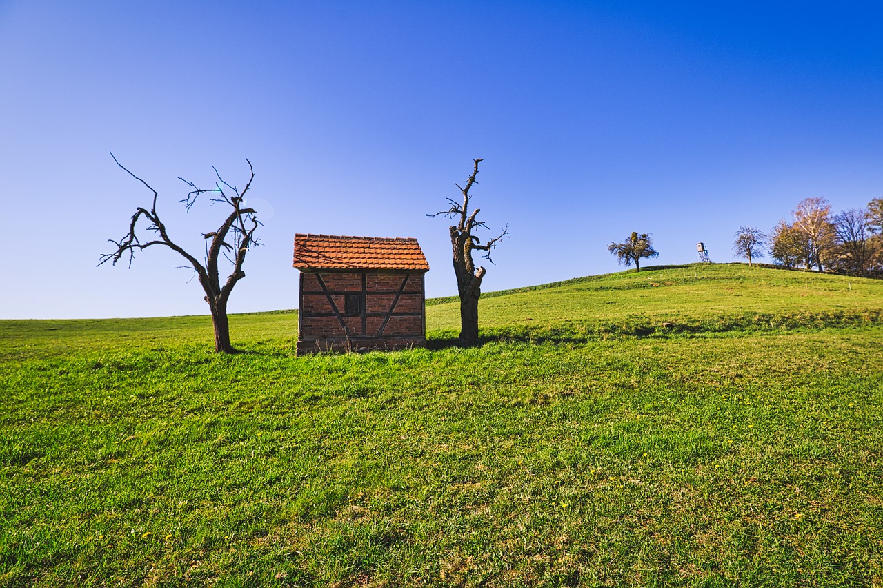 meadow  landscape  trees free photo