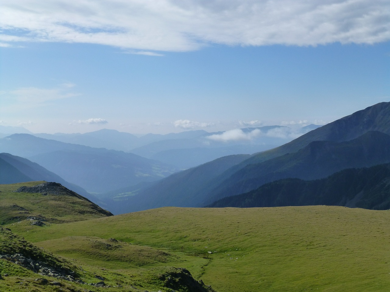 meadow alm alpine free photo