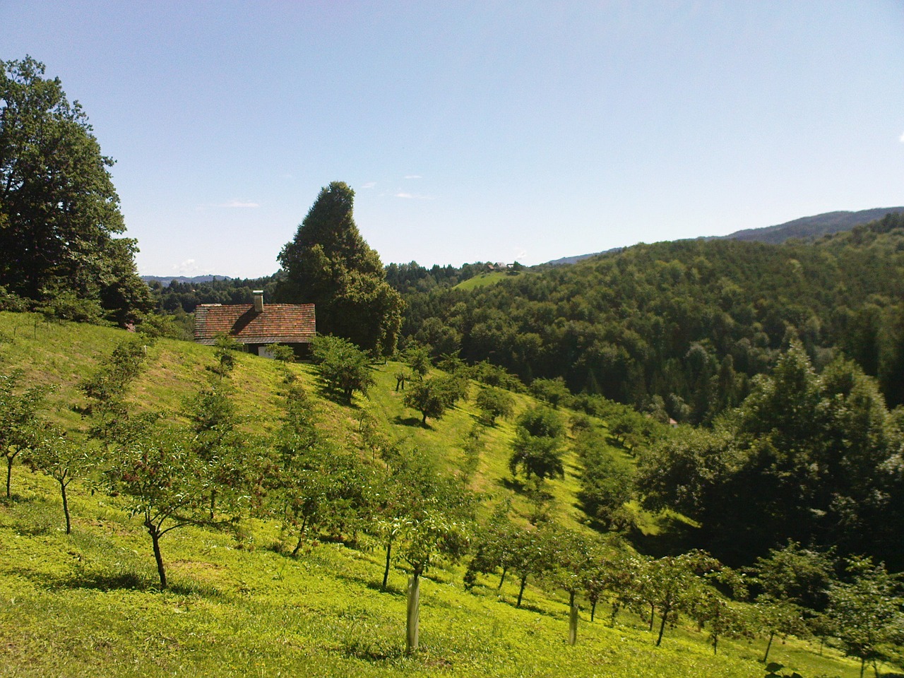 meadow hills austria free photo