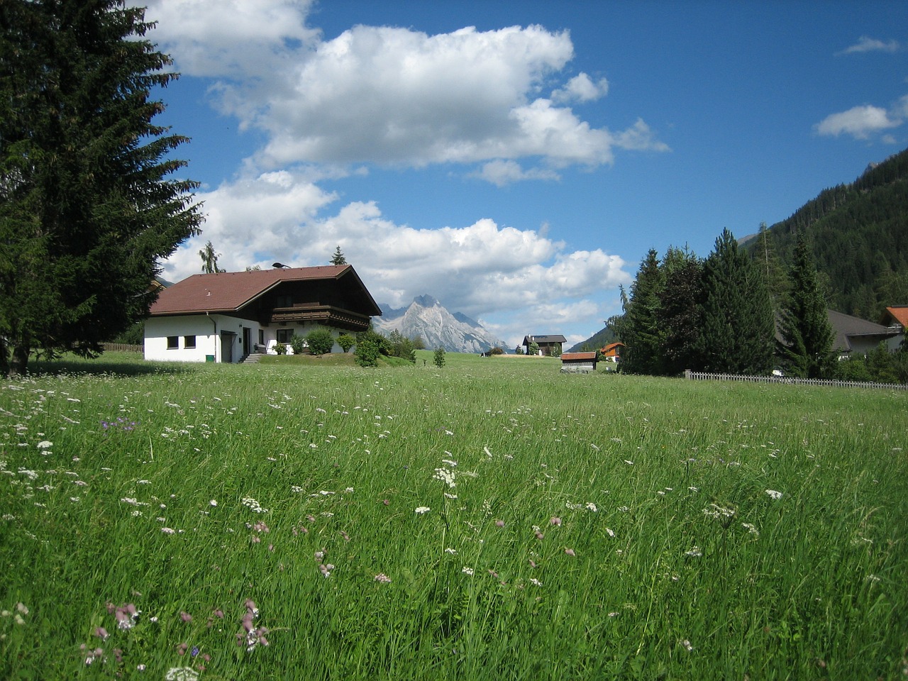 meadow home nature free photo